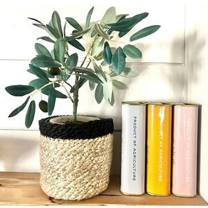 Gatehouse Small Olive Tree in Grass Woven Basket